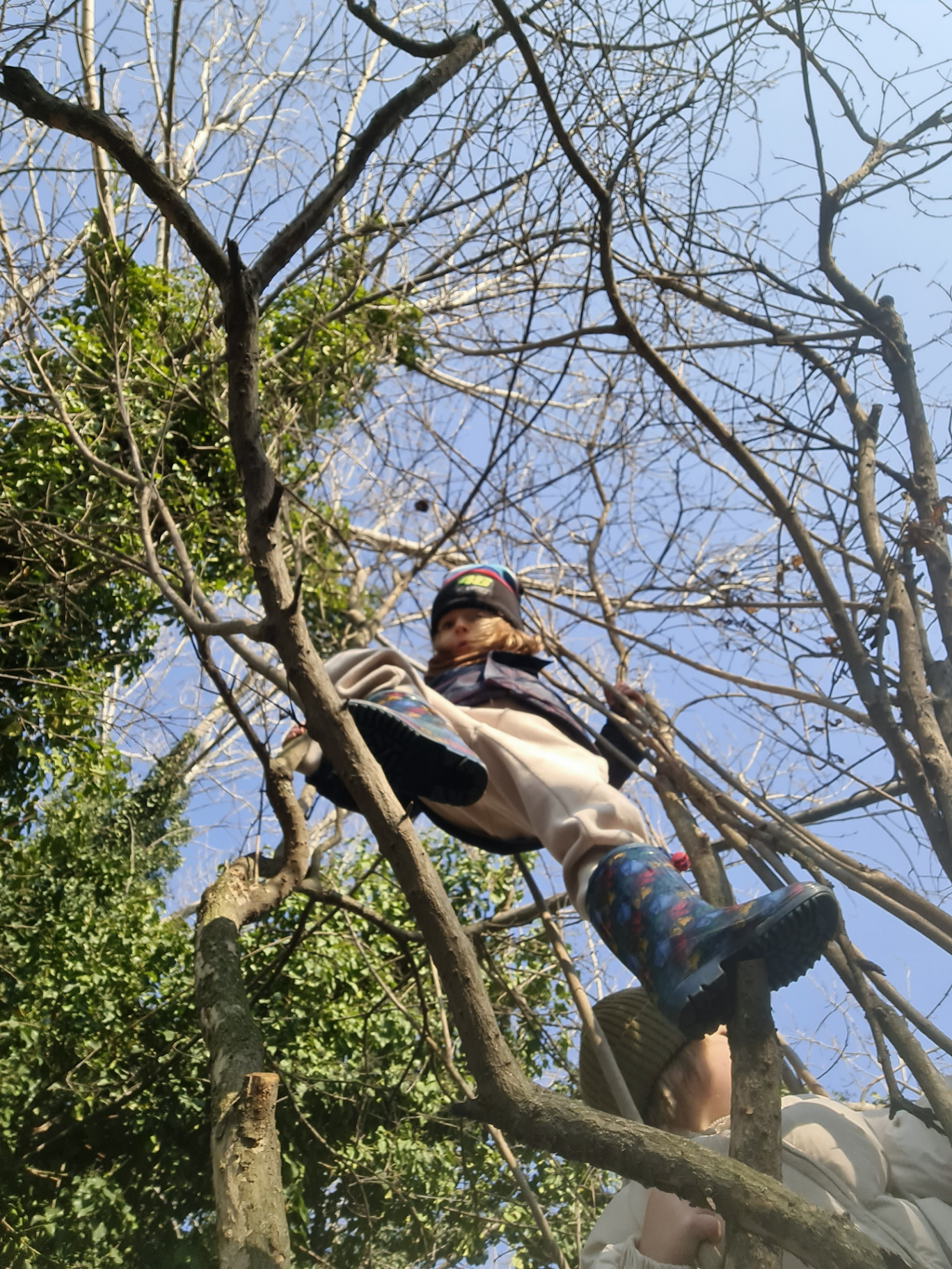 Un bambino tra i rami di un albero mentre un altro lo guarda dal basso